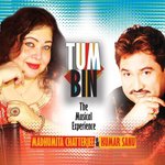 Tum Bin: The Musical Experience - Allu Arjun Song Download